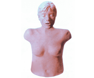 女性心肺复苏训练模型(Adult Female CPR Torso with Carry)